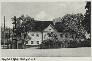 Bojadła - Reprodukcja 23171