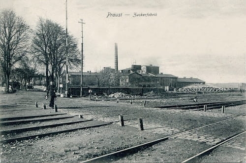 nowe-23270.jpg