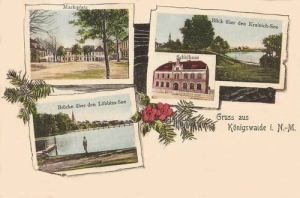 Lubniewice widokowa - Reprodukcja 23282