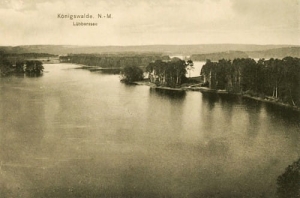 Lubniewice jezioro - Reprodukcja 23283