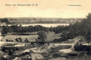 Lubniewice panorama - Reprodukcja 23289