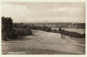 Lubniewice panorama - Reprodukcja 23292