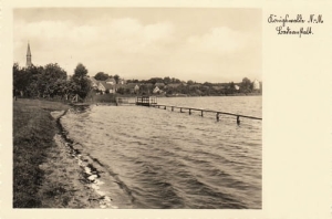 Lubniewice panorama - Reprodukcja 23293