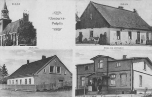 Klonówka widokowa - Reprodukcja 23418