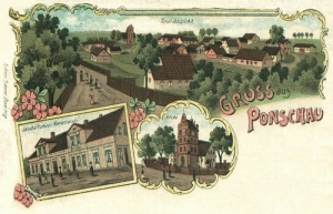 Pączewo widokowa - Reprodukcja 23438