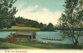 nowe-23464.jpg