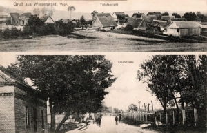 Wysoka - Reprodukcja 23467