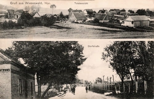 nowe-23467.jpg