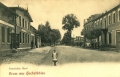 nowe-23484.jpg