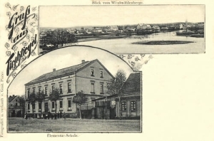 Trzciel widokowa - Reprodukcja 23329
