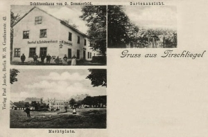 Trzciel widokowa - Reprodukcja 23340