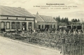 nowe-23342.jpg