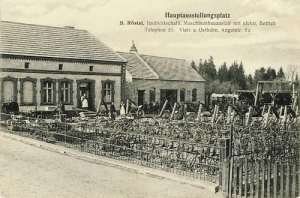 Witnica - Reprodukcja 23342