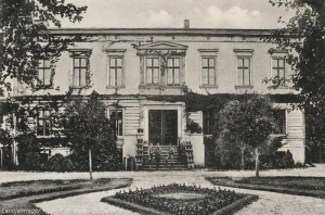 Witnica - Reprodukcja 23344