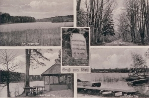 Witnica widokowa - Reprodukcja 23356