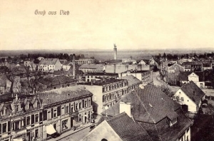 Witnica panorama - Reprodukcja 23364