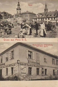 Pszczyna widokowa - Reprodukcja 15500