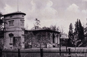 Witnica - Reprodukcja 23491