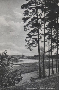 Witnica - Reprodukcja 23492