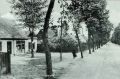 nowe-23498.jpg