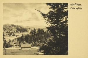 Żywiec Korbielów panorama - Reprodukcja 5147