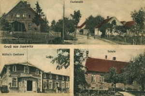 Jaźwiska widokowa - Reprodukcja 23509