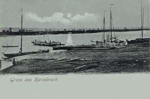 Korzeniewo - Reprodukcja 23511