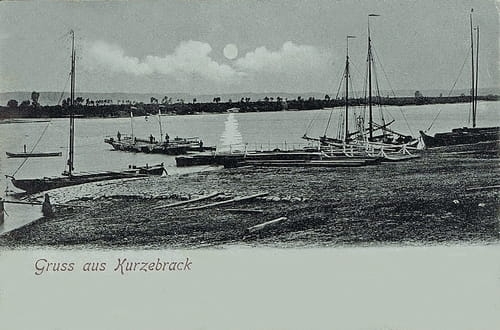 nowe-23511.jpg