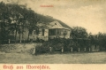 nowe-23520.jpg