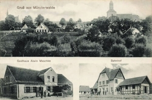Opalenie widokowa - Reprodukcja 23529