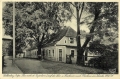 nowe-23555.jpg