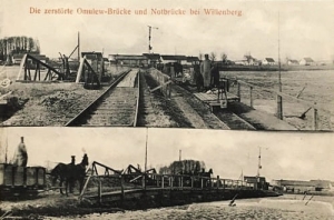 Wielbark widokowa - Reprodukcja 23569