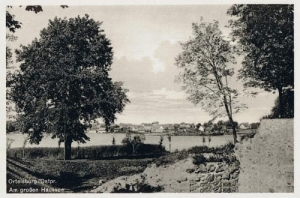 Szczytno - Reprodukcja 23608