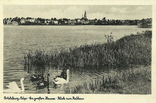nowe-23609.jpg