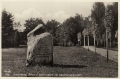 nowe-23635.jpg