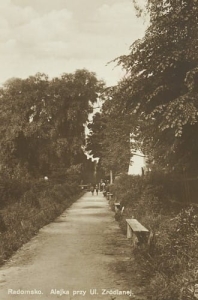 Radomsko Alejka - Reprodukcja 23677
