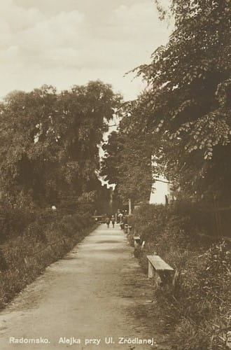 nowe-23677.jpg