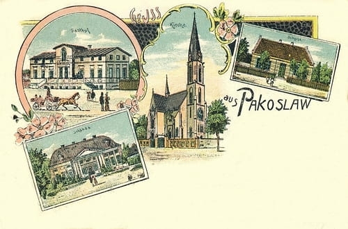 nowe-23703.jpg
