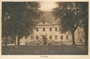 Trzebosz - Reprodukcja 23709