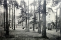 nowe-23753.jpg