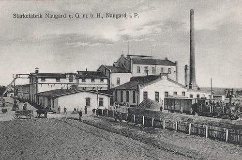 nowe-23775.jpg