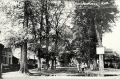 nowe-23808.jpg