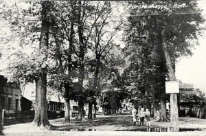 Bolesławice - Reprodukcja 23808
