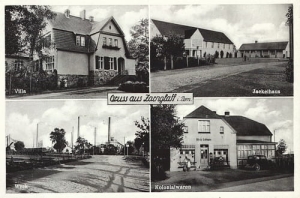 Czarnogłowy widokowa - Reprodukcja 23814