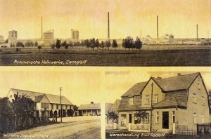 Czarnogłowy widokowa - Reprodukcja 23815