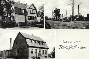 Czarnogłowy widokowa - Reprodukcja 23817