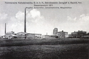 Czarnogłowy - Reprodukcja 23819