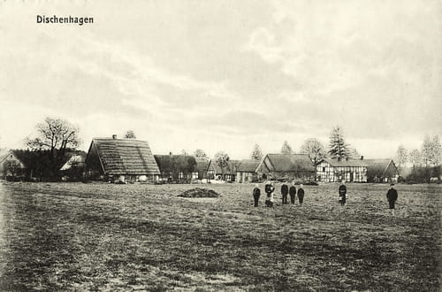 nowe-23830.jpg