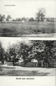 Jarchlino widokowa - Reprodukcja 23843