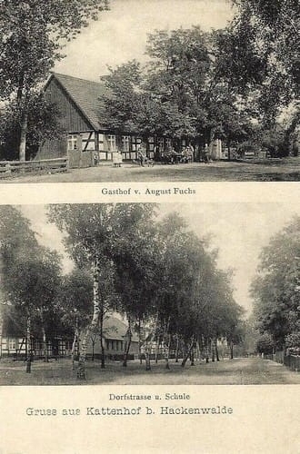 nowe-23847.jpg
